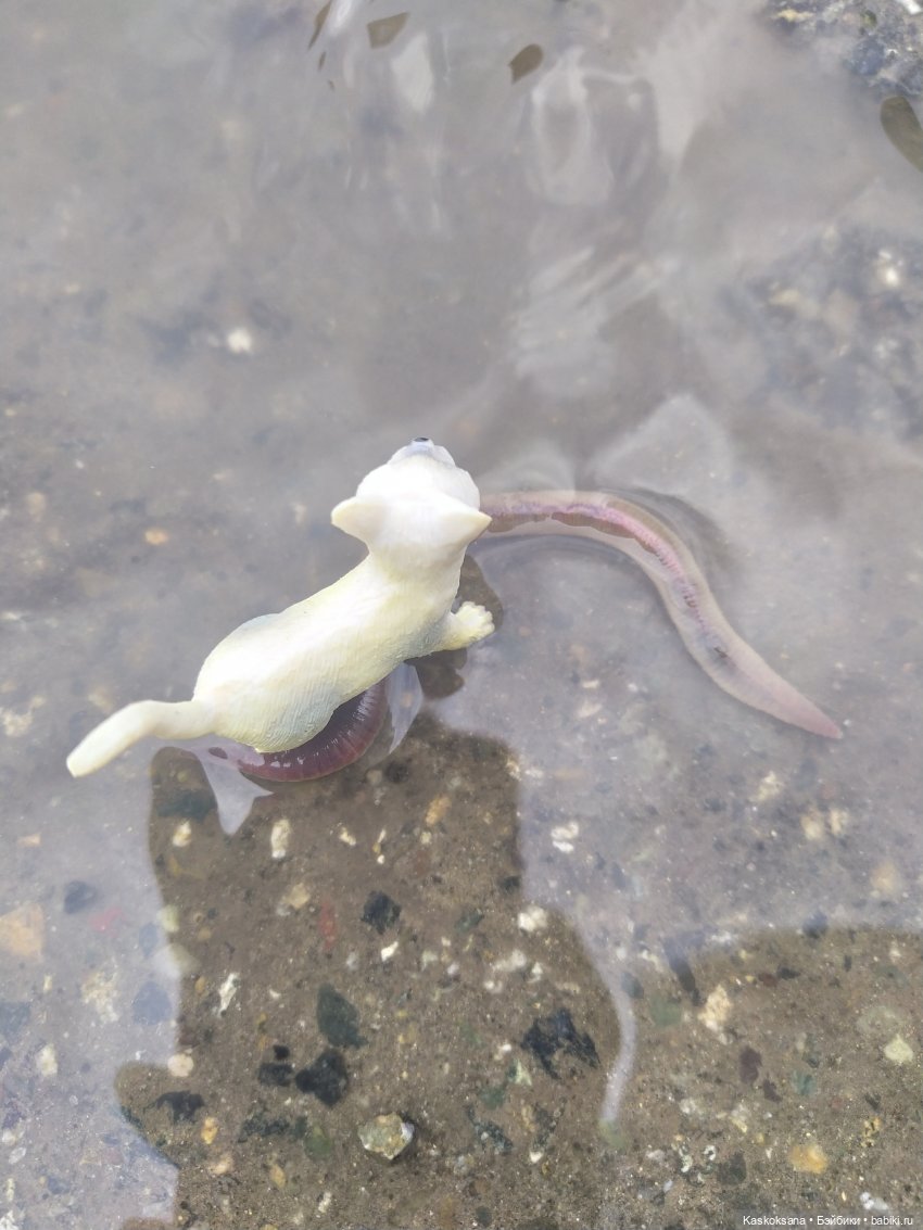 Дождь? Замурррчательно | Бэйбики Дождь? Замурррчательно — Болталка и разговоры обо всем: жизнь (фото 6)