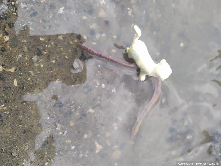 Дождь? Замурррчательно | Бэйбики Дождь? Замурррчательно — Болталка и разговоры обо всем: жизнь (фото 5)