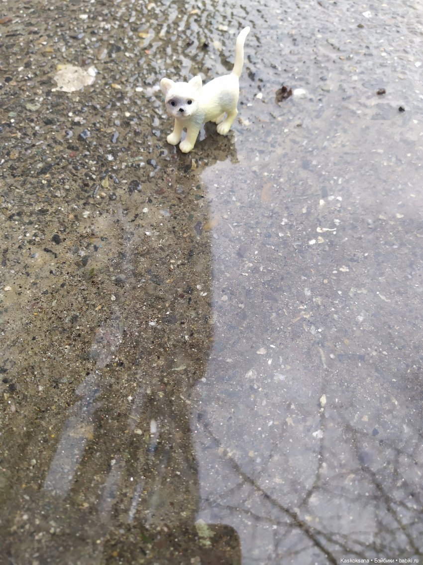 Дождь? Замурррчательно | Бэйбики Дождь? Замурррчательно — Болталка и разговоры обо всем: жизнь