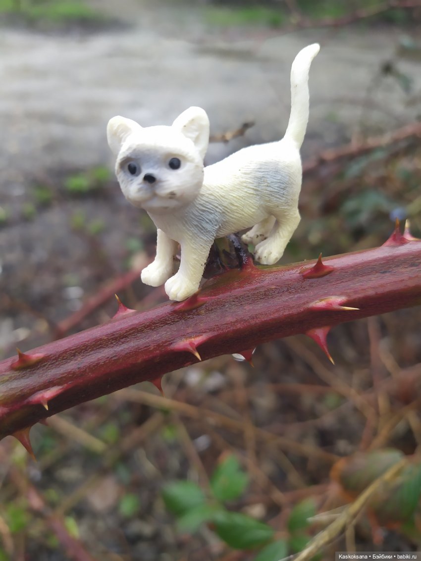 Дождь? Замурррчательно | Бэйбики Дождь? Замурррчательно — Болталка и разговоры обо всем: жизнь (фото 9)