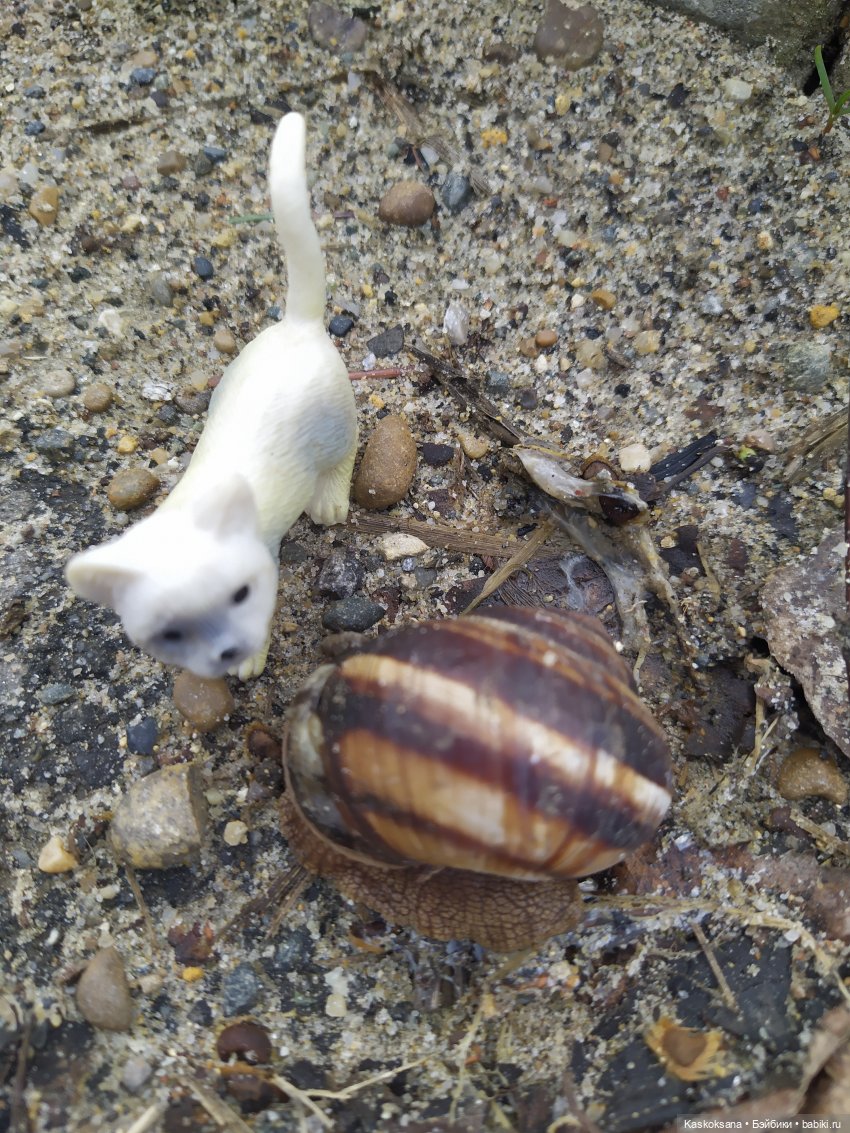 Дождь? Замурррчательно | Бэйбики Дождь? Замурррчательно — Болталка и разговоры обо всем: жизнь (фото 10)