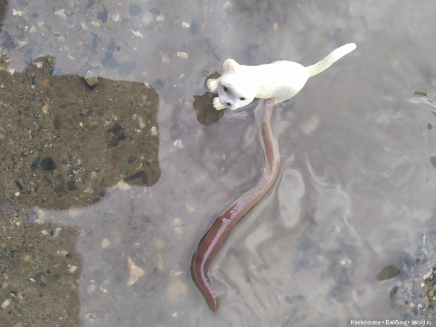 Дождь? Замурррчательно | Бэйбики Дождь? Замурррчательно — Болталка и разговоры обо всем: жизнь (фото 7)