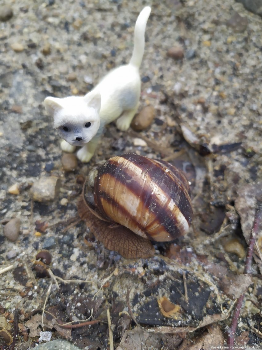 Дождь? Замурррчательно | Бэйбики Дождь? Замурррчательно — Болталка и разговоры обо всем: жизнь