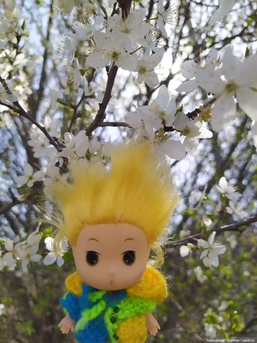 Как Любимчики на маевку ходили (фото 10)