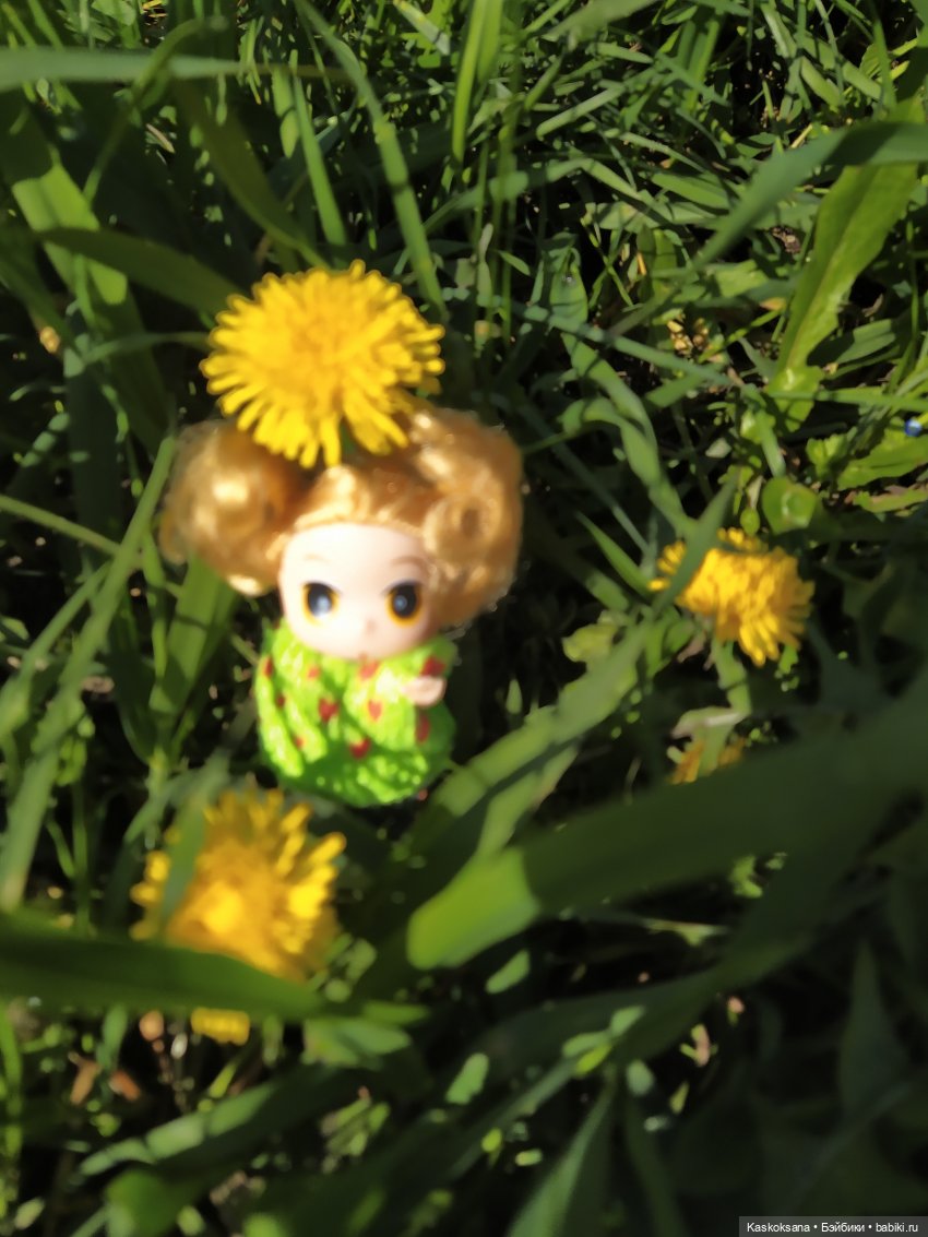 Как Любимчики на маевку ходили (фото 8)