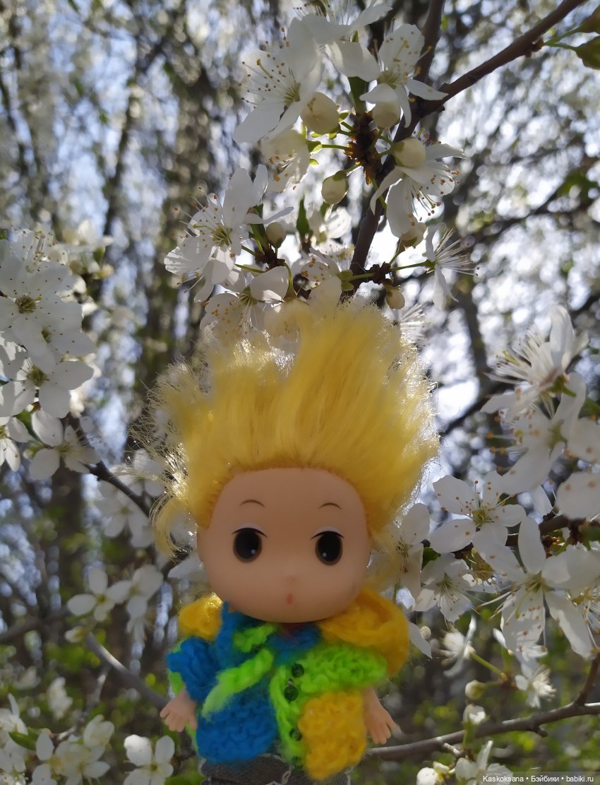 Как Любимчики на маевку ходили