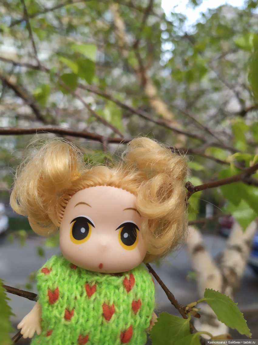 Как Любимчики на маевку ходили (фото 2)