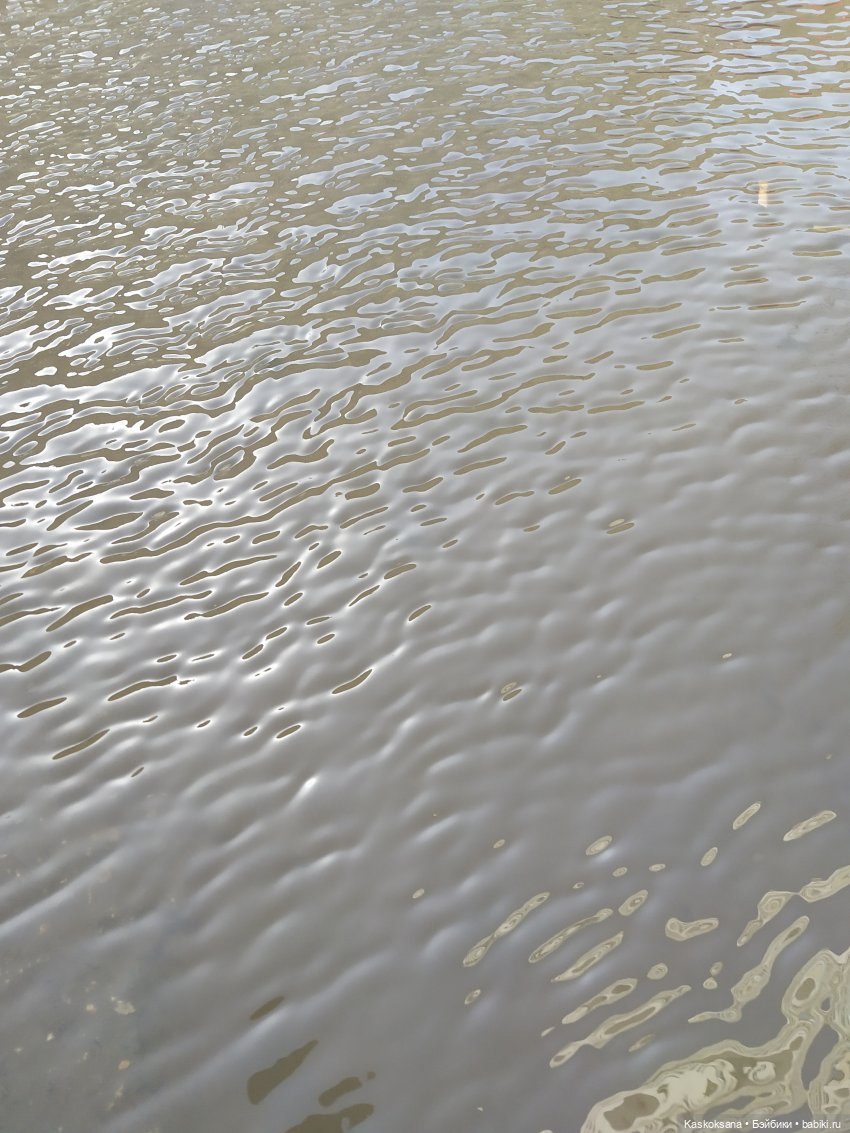 Как Любимчики на маевку ходили (фото 4)