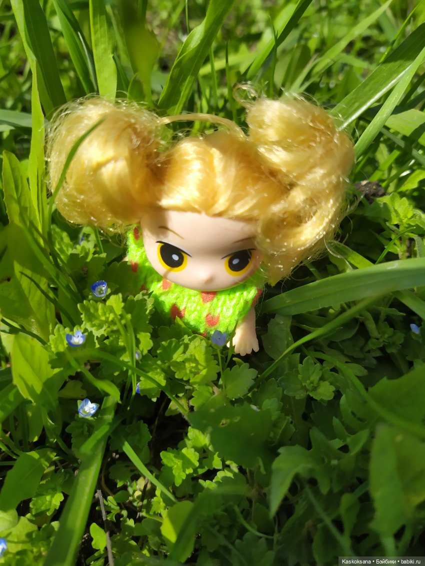 Как Любимчики на маевку ходили (фото 5)