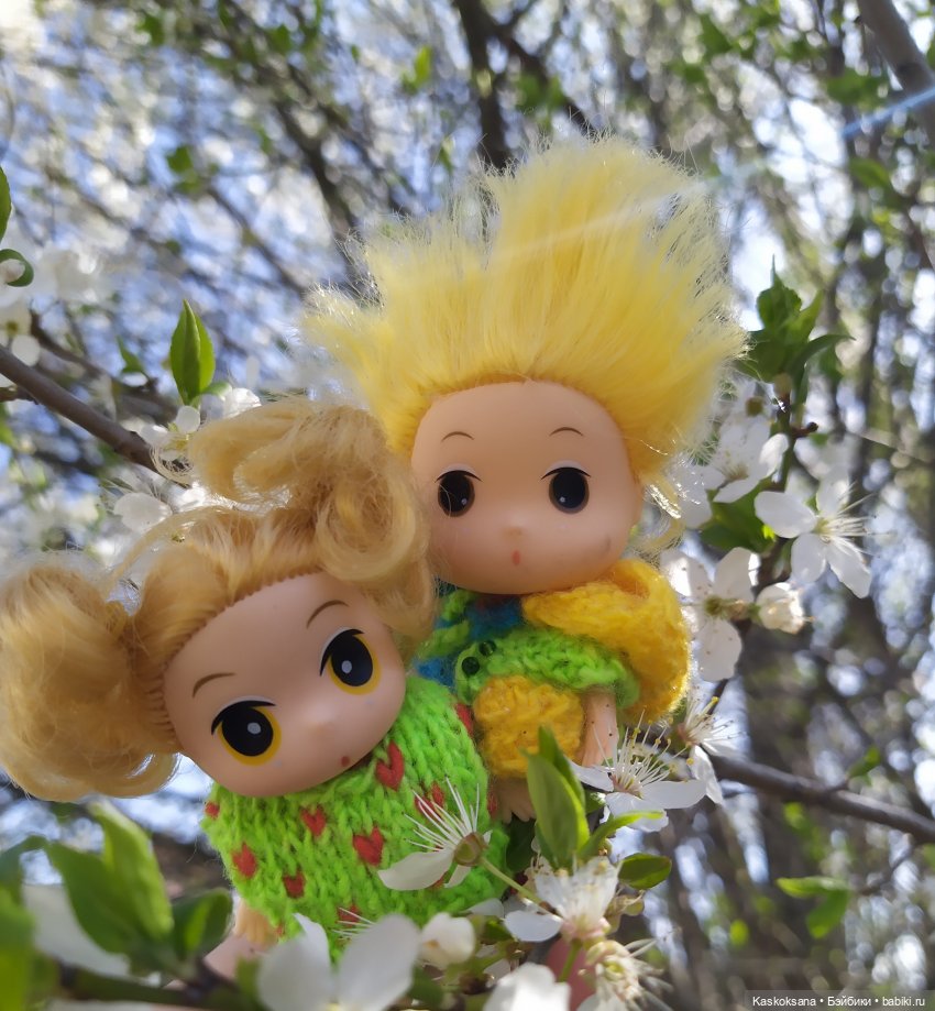 Как Любимчики на маевку ходили