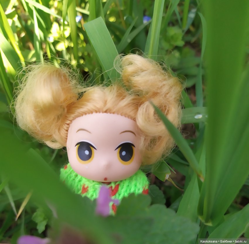 Как Любимчики на маевку ходили (фото 9)