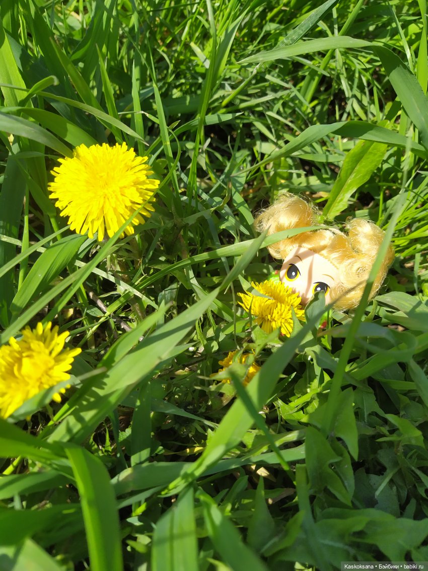 Как Любимчики на маевку ходили (фото 7)