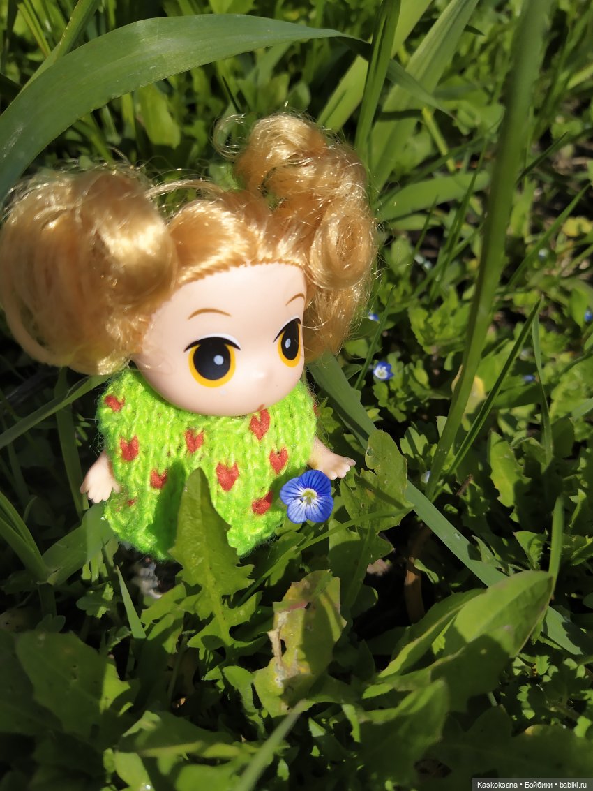 Как Любимчики на маевку ходили (фото 6)