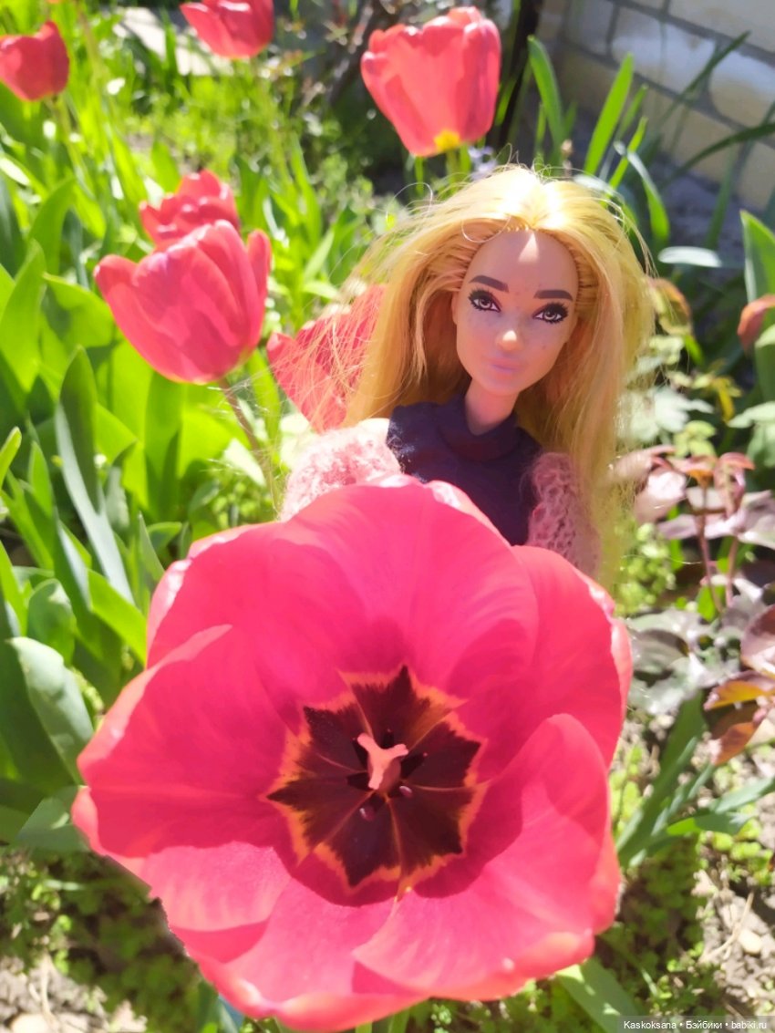 Мик и К. Златкины тюльпаны | Бэйбики Мик и К. Златкины тюльпаны