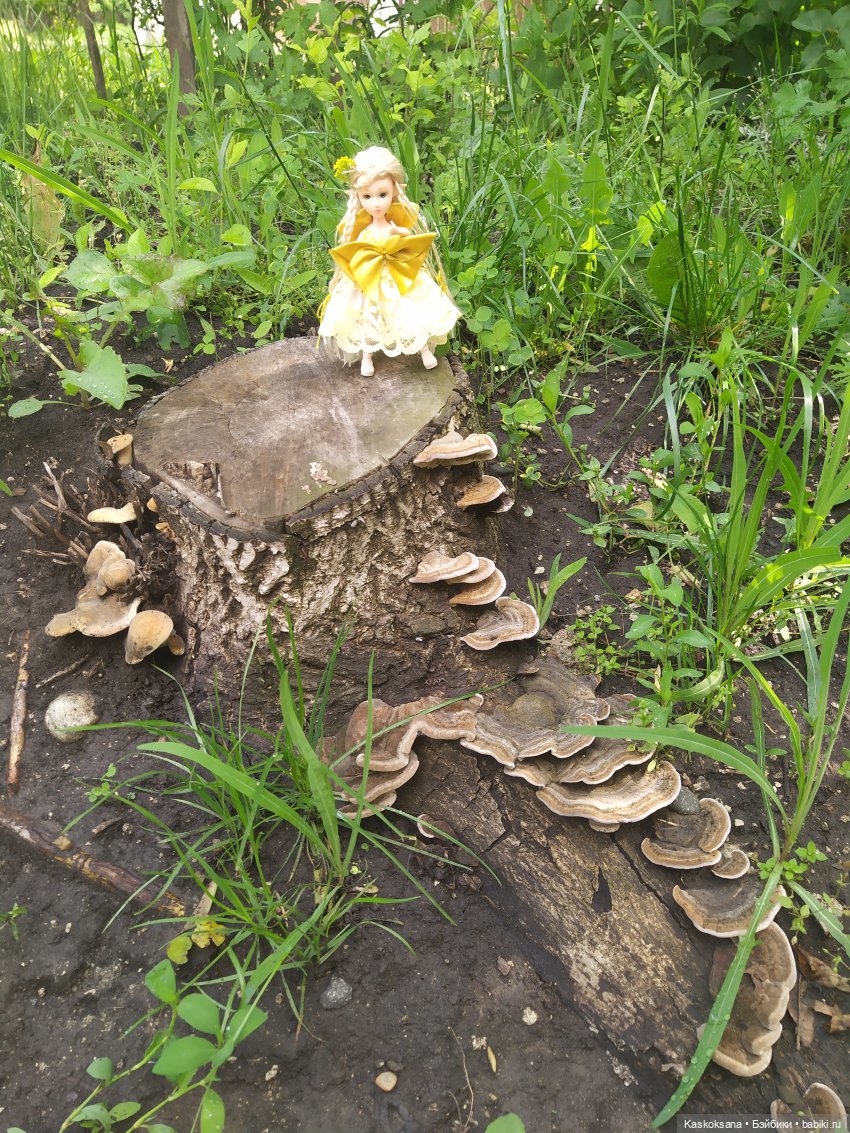 Эльфы встречают на празднике Mirie