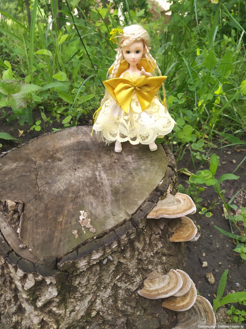 Эльфы встречают на празднике Mirie