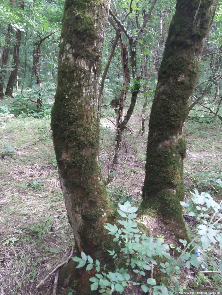 Истории ближнего Средиземья. На земле предков 1