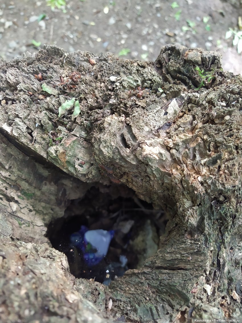 Истории ближнего Средиземья. На земле предков 1