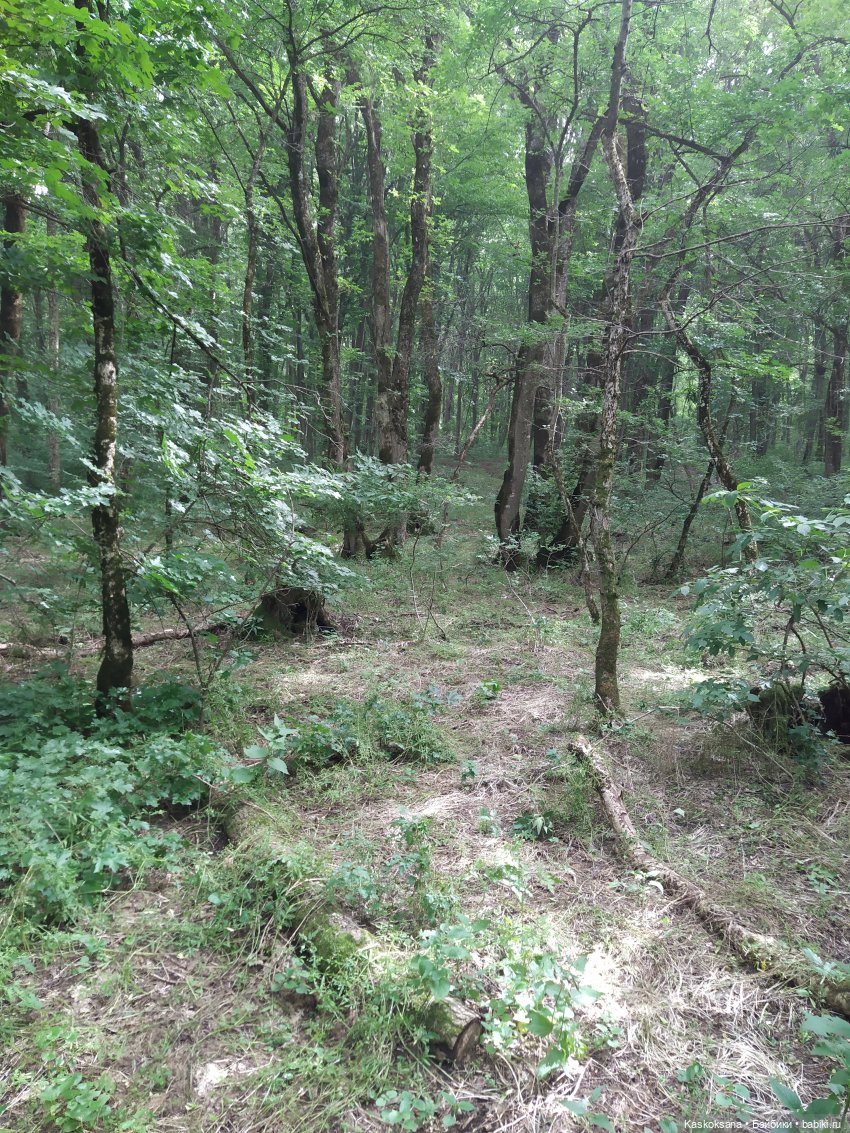 Истории ближнего Средиземья. На земле предков 1