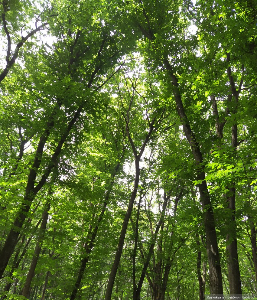 Истории ближнего Средиземья. На земле предков 1