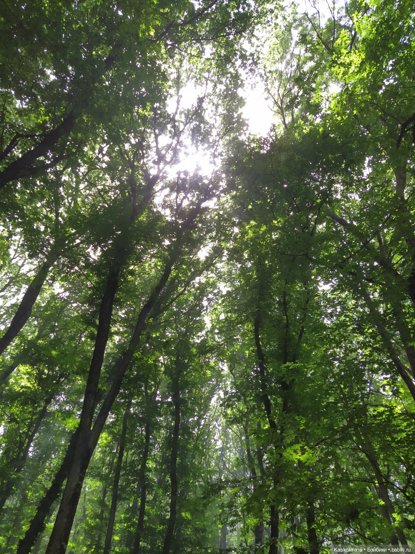 Истории ближнего Средиземья. На земле предков 1