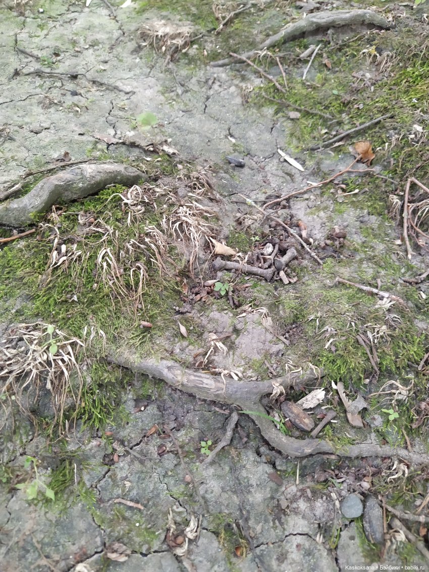 Истории ближнего Средиземья. На земле предков 1 (фото 8)