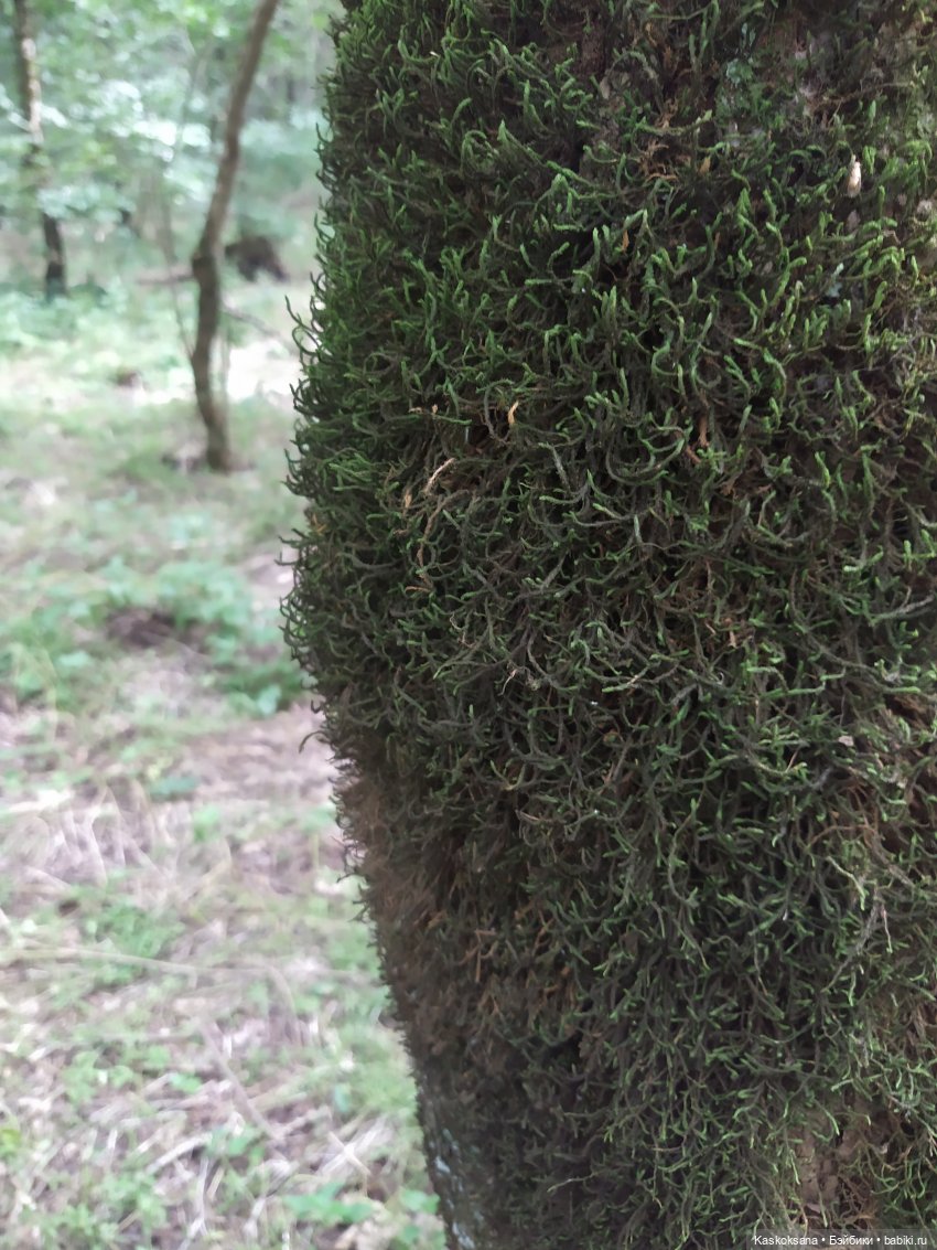 Истории ближнего Средиземья. На земле предков 1