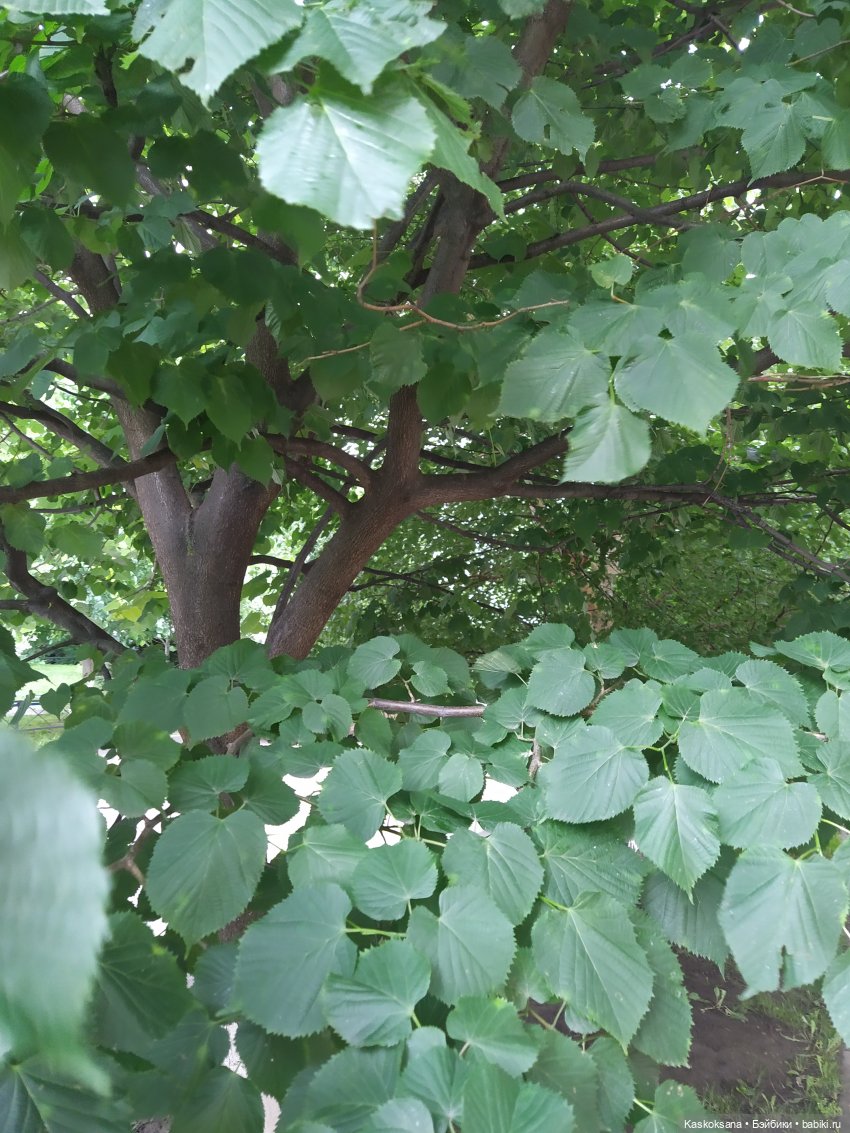 Истории ближнего Средиземья. На земле предков 1