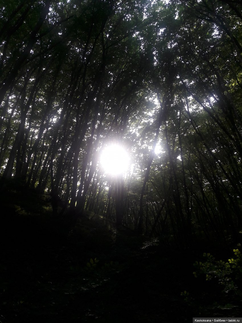 Истории ближнего Средиземья. На земле предков 1 (фото 7)