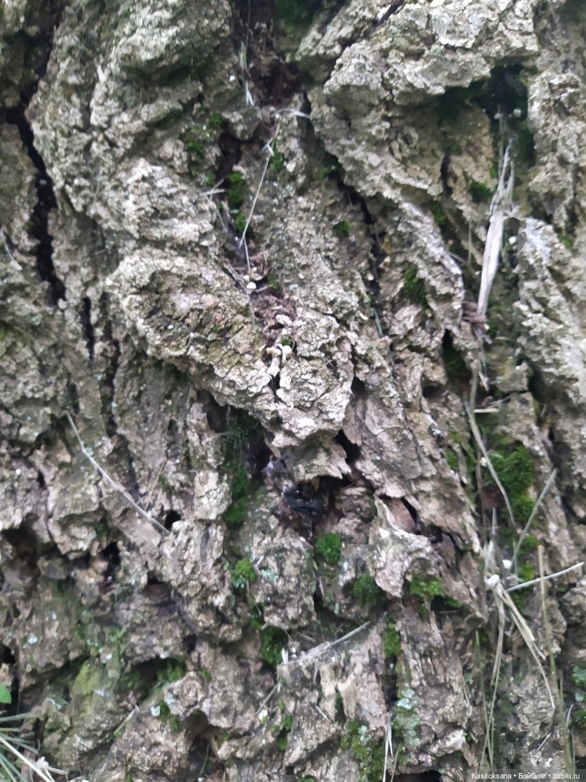 Истории ближнего Средиземья. На земле предков 1