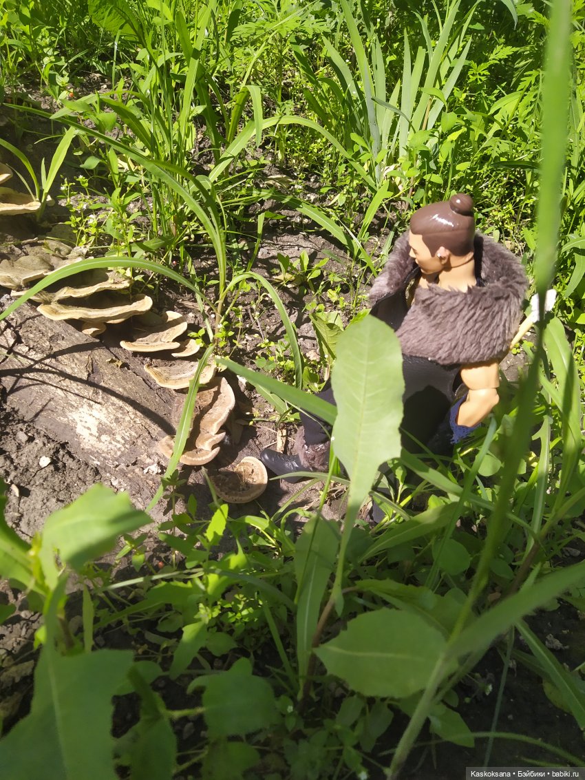 Истории ближнего Средиземья. На земле предков 2