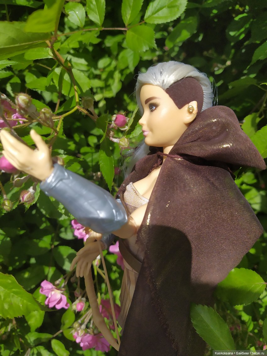 Истории ближнего Средиземья. На земле предков 2