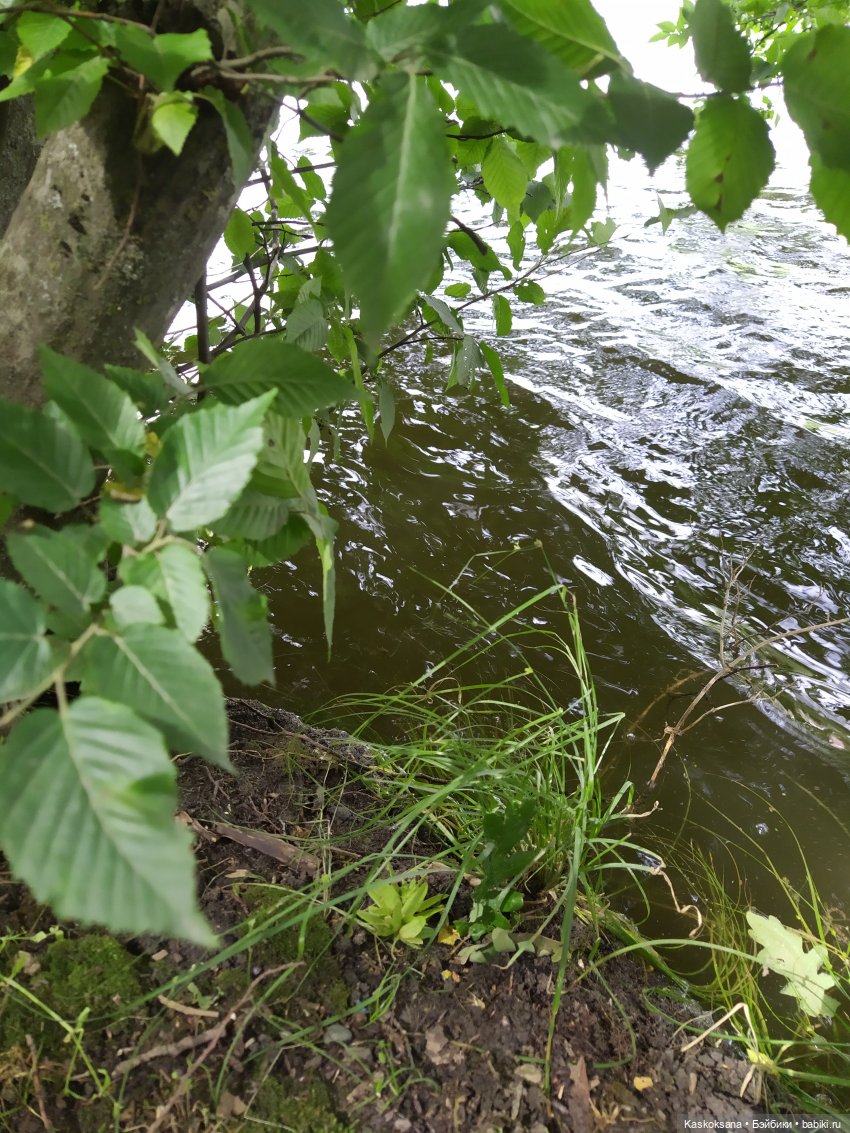 Истории ближнего Средиземья. На земле предков 3