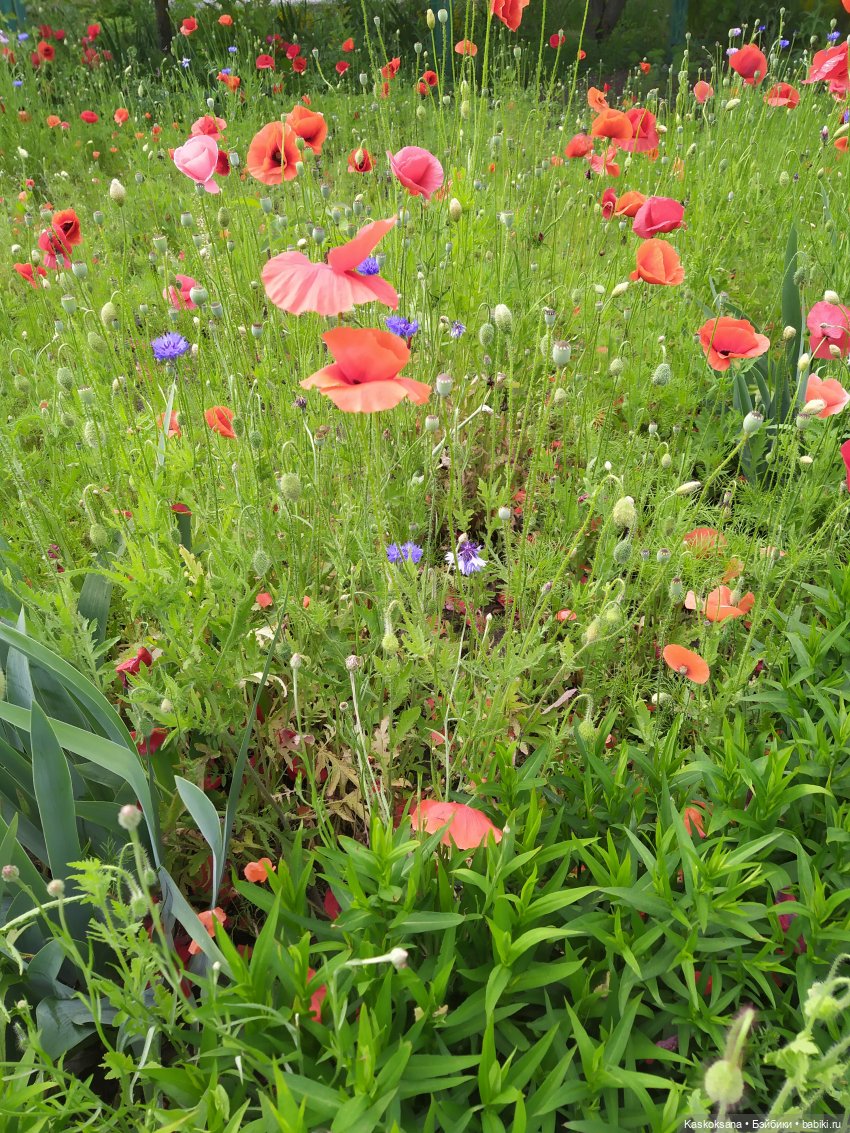 Истории ближнего Средиземья. На земле предков 3