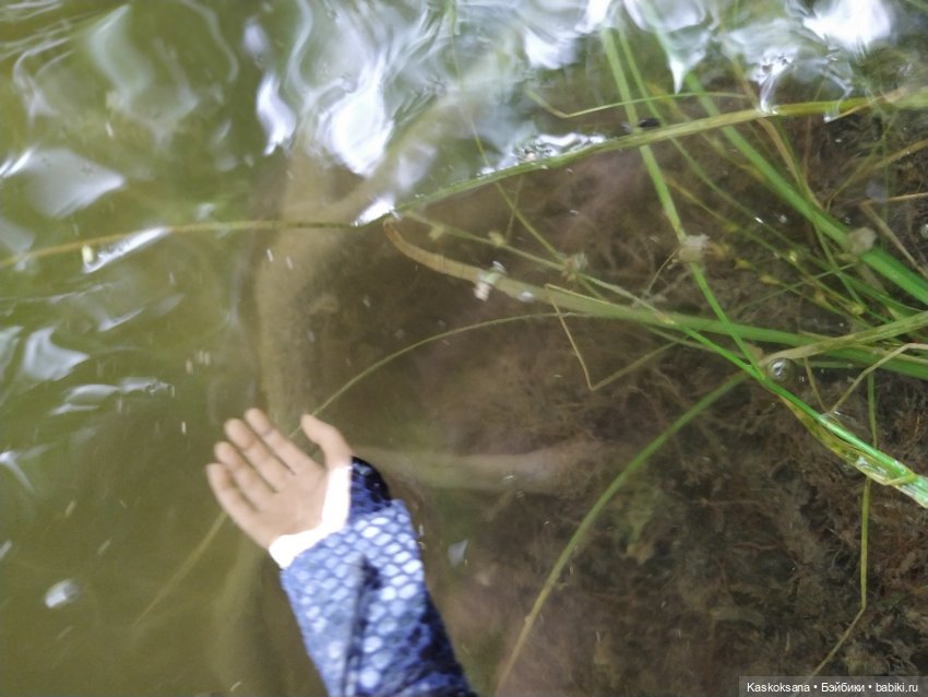 Истории ближнего Средиземья. На земле предков 3