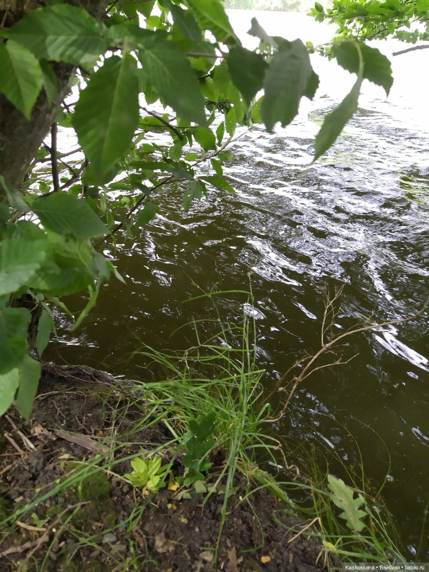 Истории ближнего Средиземья. На земле предков 3