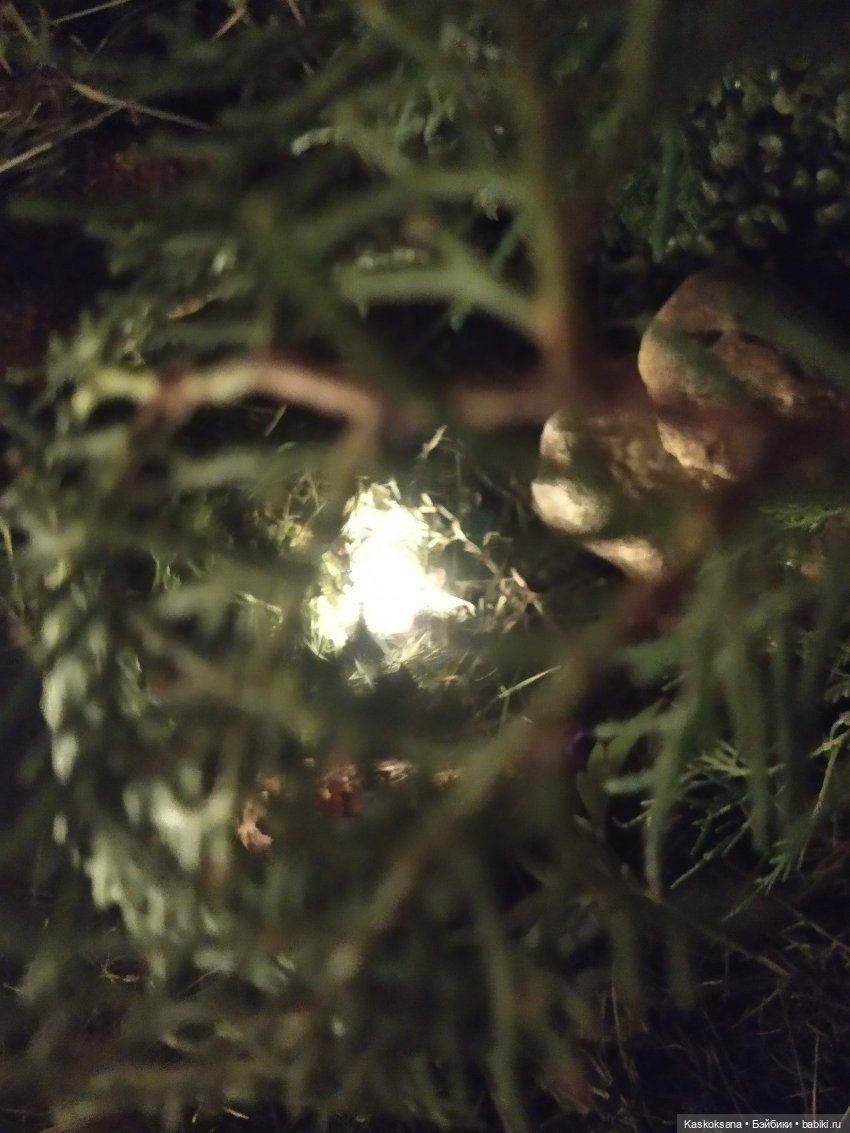 Истории ближнего Средиземья. На земле предков 4