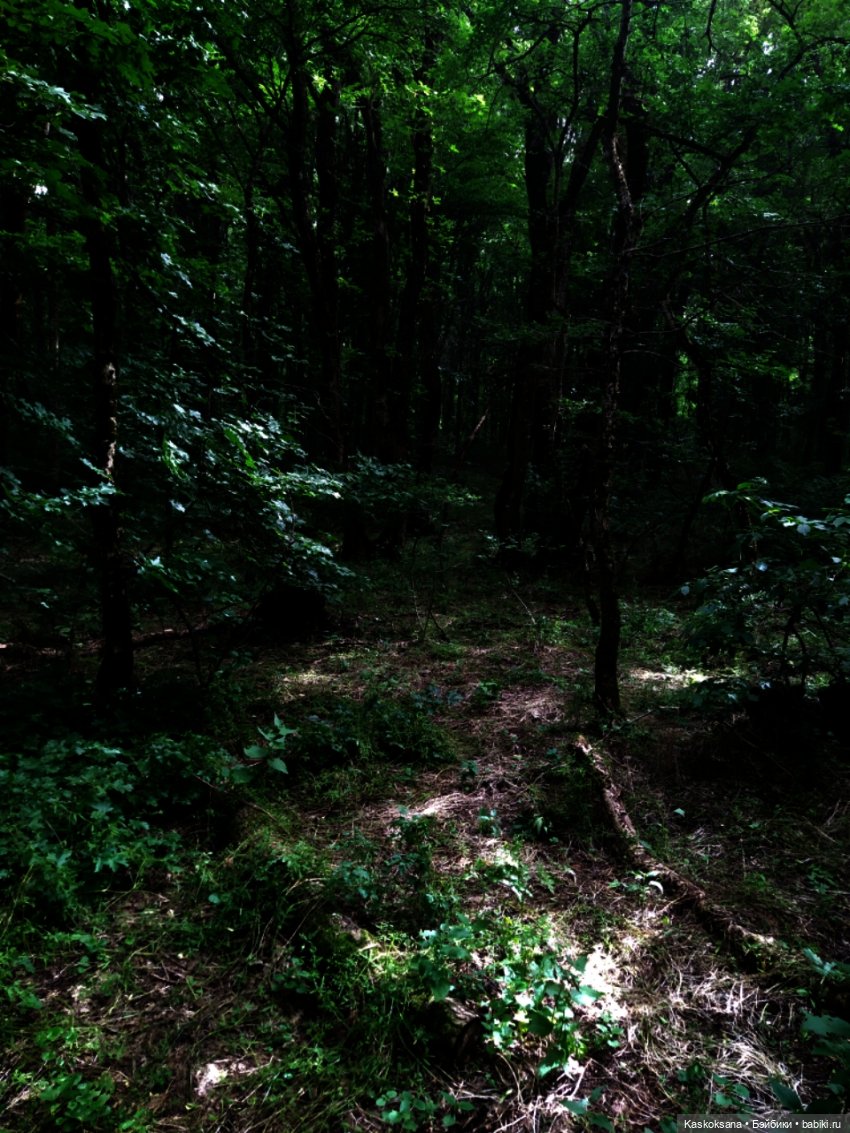 Истории ближнего Средиземья. На земле предков 4