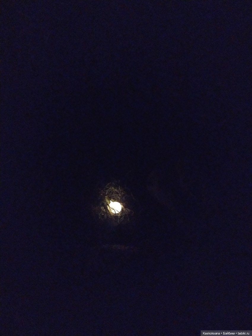 Истории ближнего Средиземья. На земле предков 4