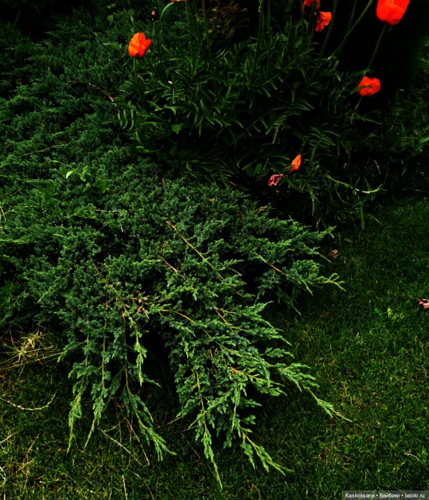 Истории ближнего Средиземья. На земле предков 4