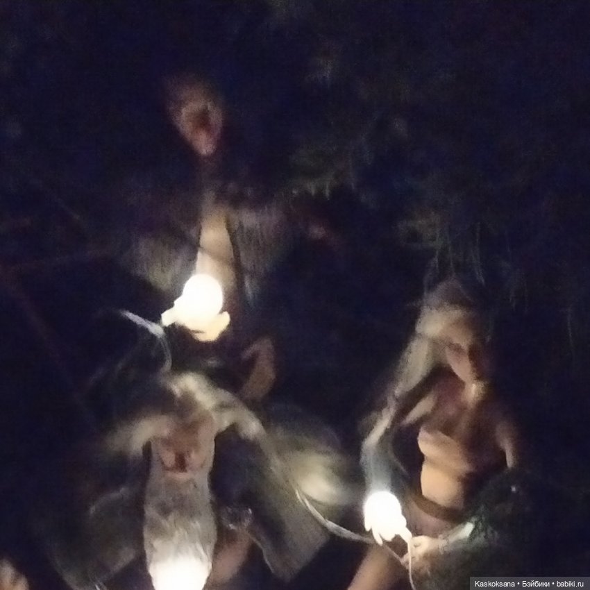 Истории ближнего Средиземья. На земле предков 4