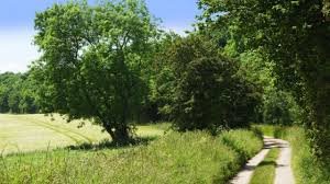 Истории ближнего Средиземья. На земле предков 5