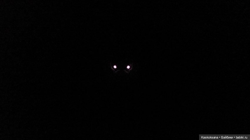 Истории ближнего Средиземья. На земле предков 5 (фото 8)