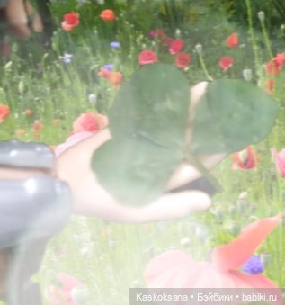 Истории ближнего Средиземья. На земле предков 5 (фото 9)