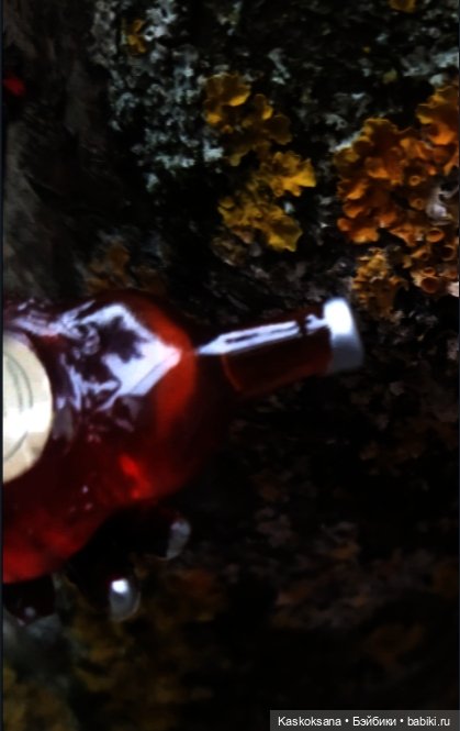 Истории ближнего Средиземья. На земле предков 5