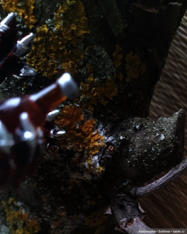 Истории ближнего Средиземья. На земле предков 5