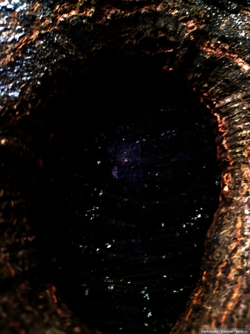 Истории ближнего Средиземья. На земле предков 5 (фото 3)