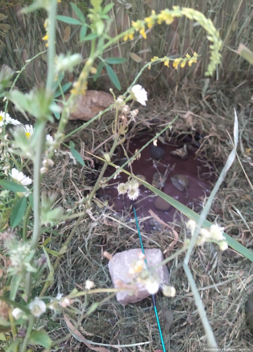 "Неожиданный роман" Свадебный пикник | Бэйбики "Неожиданный роман" Свадебный пикник