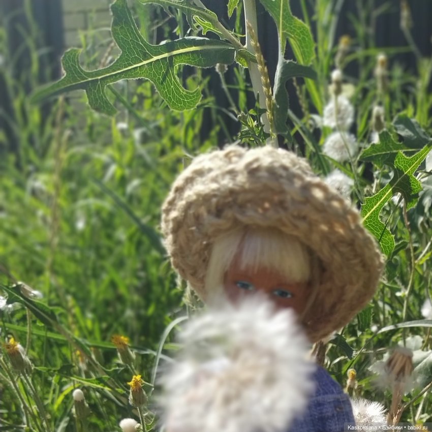 Винтажное лето. Дасти-огородница