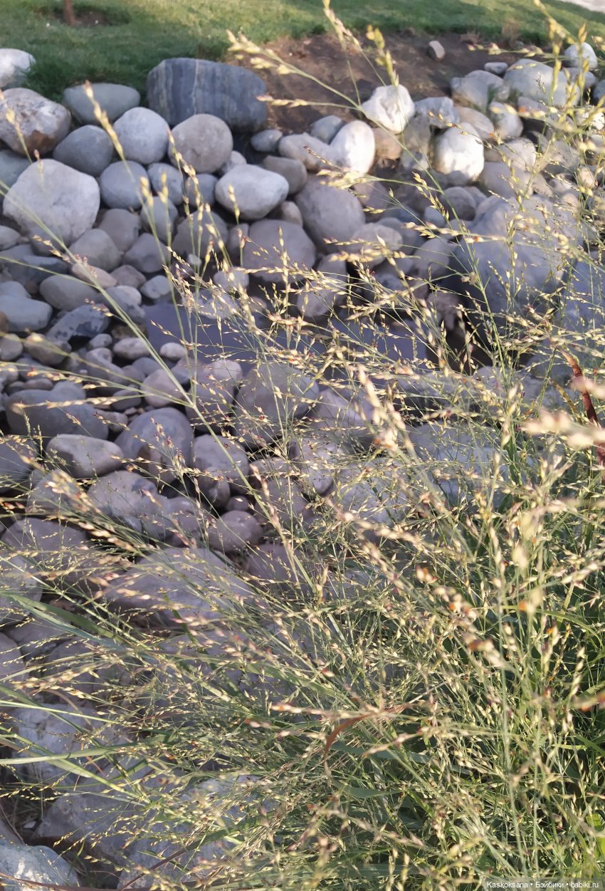 Свадебный вечер Микаэлы и Артура (фото 3)